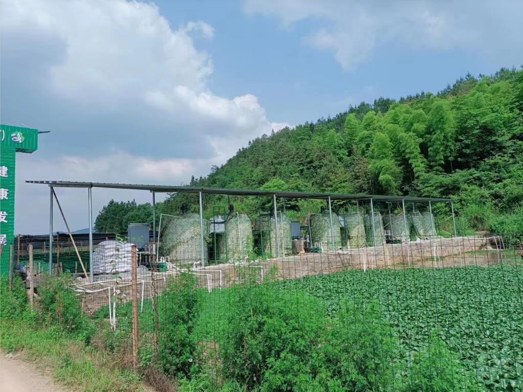 牛蛙養殖汙水處理除磷加（jiā）藥